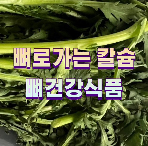 뼈로가는 칼슘 뼈건강식품1