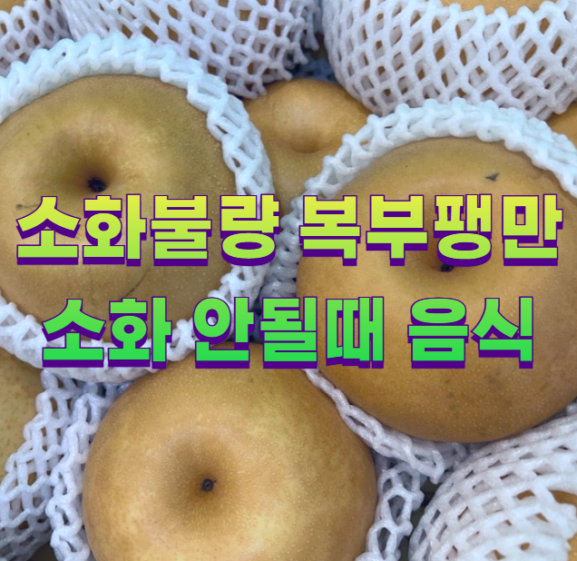 소화불량 복부팽만 소화 안될때 음식1