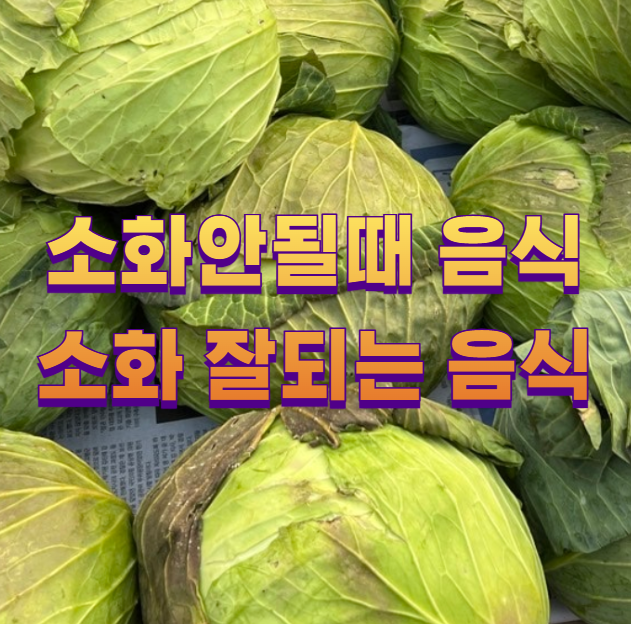 소화안될때 음식 소화 잘되는 음식1