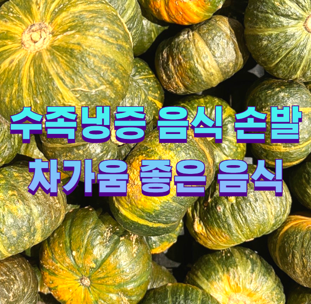 수족냉증 음식 손발 차가움 좋은 음식1