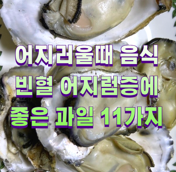 어지러울때 음식 빈혈 어지럼증에 좋은 과일 11가지1