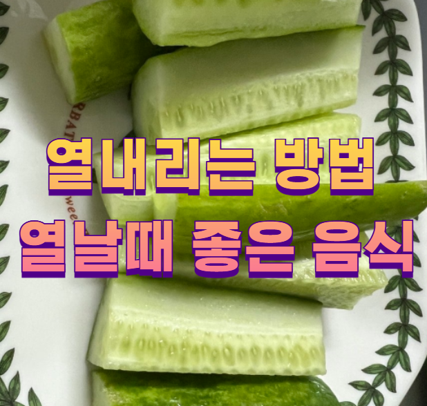 열내리는 방법 열날때 좋은 음식