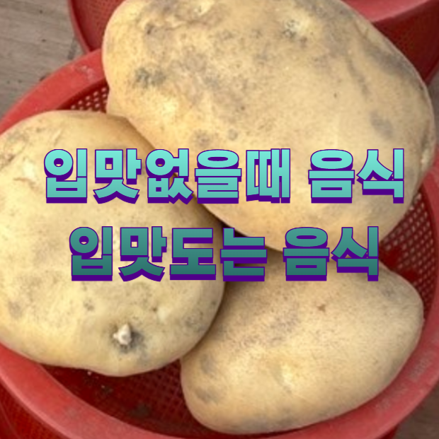 입맛없을때 음식 입맛도는 음식