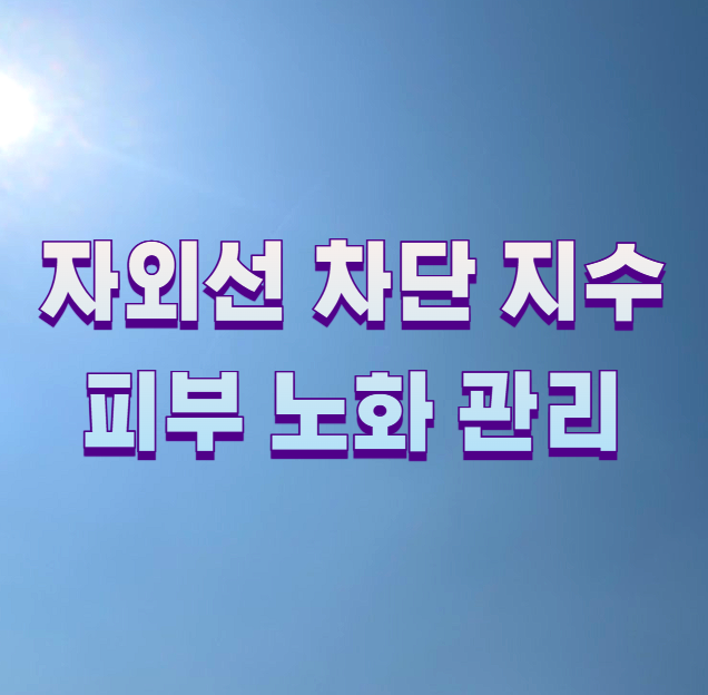 자외선 차단 지수 피부 노화 관리1