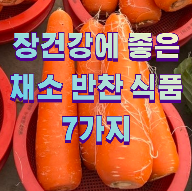 장건강에 좋은 채소 반찬 식품 7가지