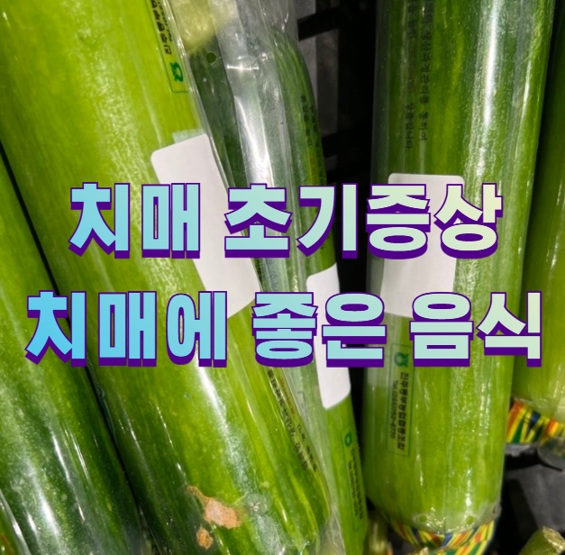 치매 초기증상 치매에 좋은 음식1