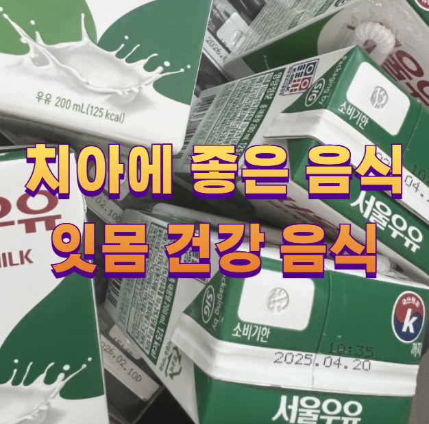 치아에 좋은 음식 잇몸 건강 음식