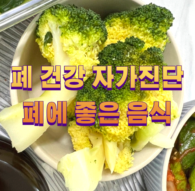 폐 건강 자가진단 폐에 좋은 음식