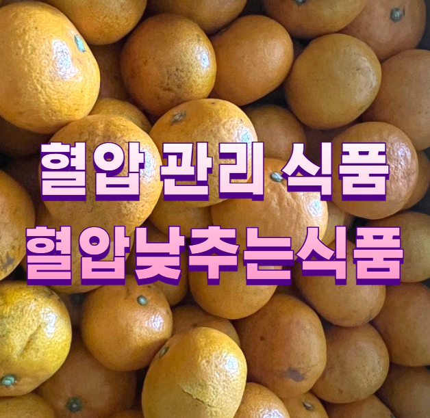 혈압 관리 식품 혈압낮추는식품
