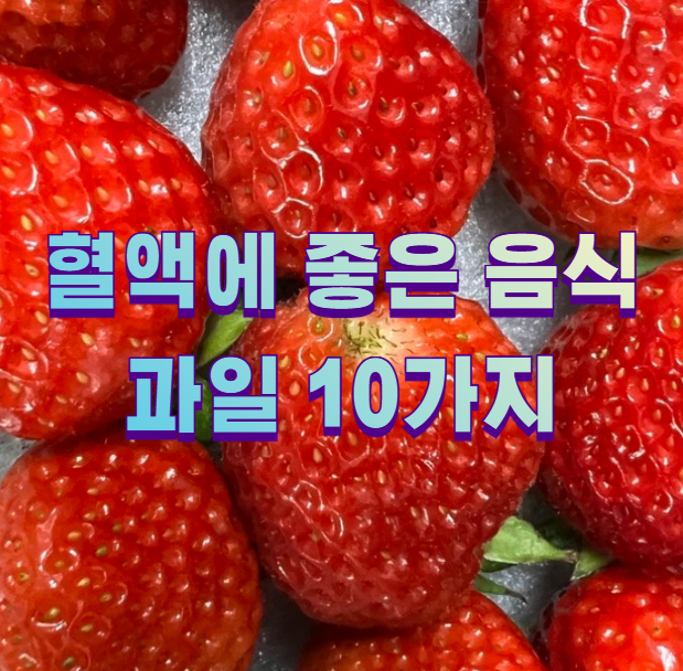 혈액에 좋은 음식 과일 10가지1